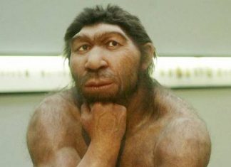 I PRIMI NEANDERTHAL ERANO ROMANI