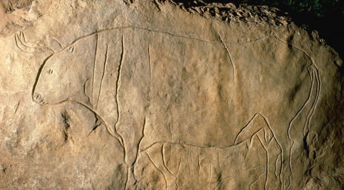La Grotta del Romito: Usi e Costumi del Calabrese Preistorico.