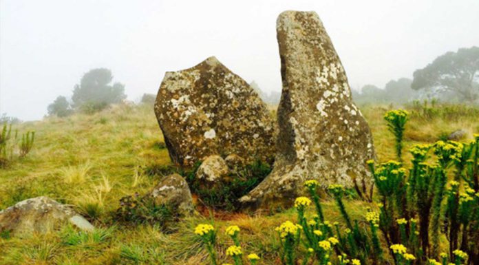 Il Calendario di Adamo: E’ ora di riscrivere la storia.