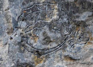 L’Ordine del Drago in Calabria?