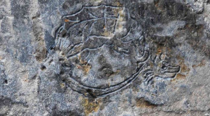 L’Ordine del Drago in Calabria?