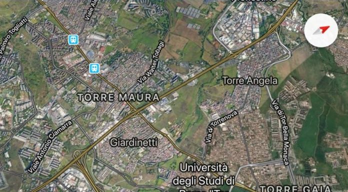 Avvistamento – Roma 21/04/2019 avvistamento-roma-21aprile2019